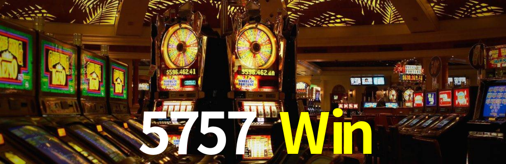 5757 Win App Interface